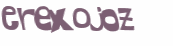 Captcha 챌린지