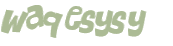 CAPTCHA 挑戰