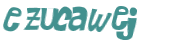 Wyzwanie captcha