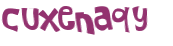 CAPTCHA 挑戰