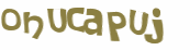 Captcha挑战