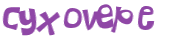Captcha 챌린지
