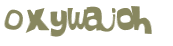 CAPTCHA 挑戰