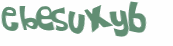 CAPTCHA 挑戰