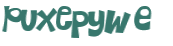 CAPTCHA 挑戰