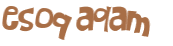 Captcha 챌린지