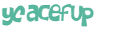 CAPTCHA 挑戰