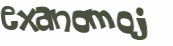 CAPTCHA 挑戰