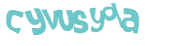 Captcha 챌린지