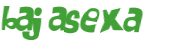 CAPTCHA-haaste