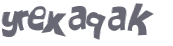 CAPTCHA 挑戰