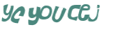 Captcha-Test