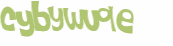 CAPTCHA 挑戰