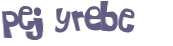 CAPTCHA 挑戰