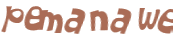 CAPTCHA 挑戰