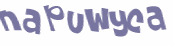 Wyzwanie captcha