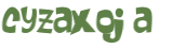 CAPTCHA 挑戰