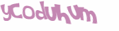 CAPTCHA 挑戰