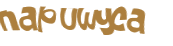 Captchafråga