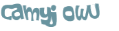 Captcha 챌린지