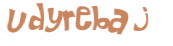 Captcha-udfordring
