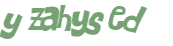 Sfida captcha