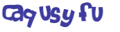 CAPTCHA 挑戰