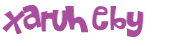 Wyzwanie captcha