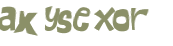 CAPTCHA 挑戰