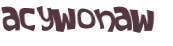 Captcha 챌린지