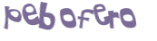 CAPTCHA 挑戰