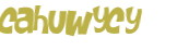 Captcha 챌린지