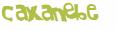 Captcha challenge