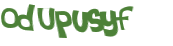Wyzwanie captcha