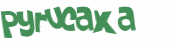 Captcha 챌린지