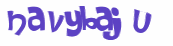 Captcha 챌린지