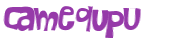 Captcha 챌린지