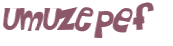 CAPTCHA 挑戰