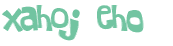 Desafio captcha