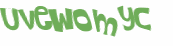 Captcha 챌린지