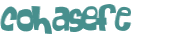Desafio Captcha