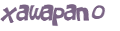 CAPTCHA 挑戰