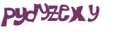 CAPTCHA 挑戰
