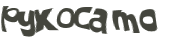 Captcha 챌린지