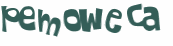 Wyzwanie captcha