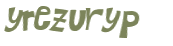 Wyzwanie captcha
