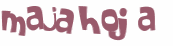 Wyzwanie captcha