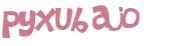 CAPTCHA 挑戰