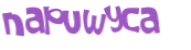 CAPTCHA 挑戰