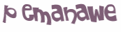 CAPTCHA 挑戰
